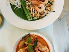 -Fern Forest Cafe