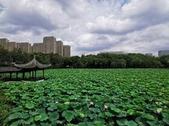 -高子水居