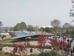-成飞公园