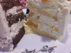 -山与蓝·轻糖鲜果蛋糕(勒泰店)
