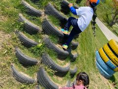 -前小桔亲子创意农场·草莓采摘·露营烧烤