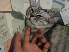-H立方实景剧情密室(天河旗舰店)