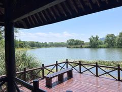 -长广溪湿地公园