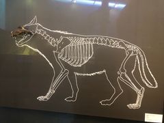 -北京周口店北京人遗址博物馆