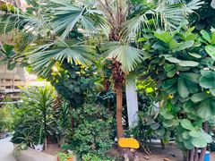 -红栌温泉山庄生态美食餐厅