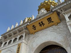 -上海东林寺(金山区)