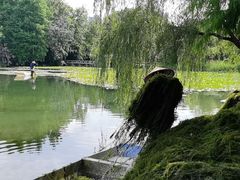 -洋湖国家湿地公园