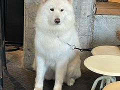 -来回·咖啡(天河南店)