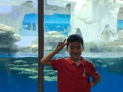 -华夏文旅海洋公园