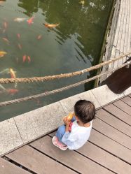 -大望京儿童游乐场