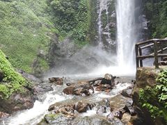 -莫里热带雨林景区