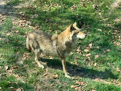 -西安秦岭野生动物园