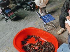 -古彭7只羊·招牌白串·碳锅羊肉旗舰店