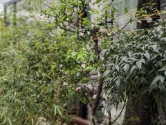 -不贰小院(余姚多元文化创意园店)