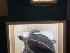 -中国湿地博物馆