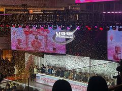 -红星美凯龙(上海沪南店)