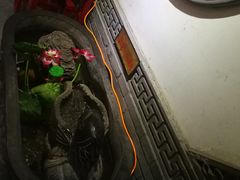 -窄巷子陕菜馆·地道陕西菜(粉巷店)