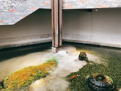-几荷·恰似故人来(秀水广场店)