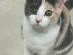 -万达广场(南宁青秀店)