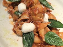-ZAFFERANO西班牙海鲜饭(上海首店)