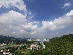 -美的鹭湖森林度假区