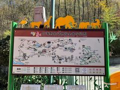 -栾川竹海野生动物园