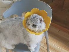 -听TA说宠咖·宠物生活馆(天韵水岸店)