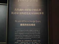 -青海藏文化博物院