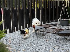 -J Create城市露营咖啡·简餐·宠物(上海动物园店)