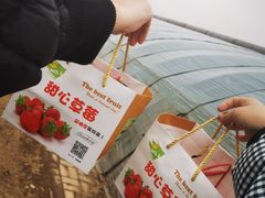-甜心庄园·甜心草莓采摘园(西青中北店)
