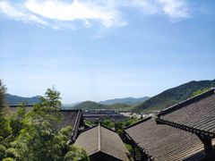 -大唐贡茶院