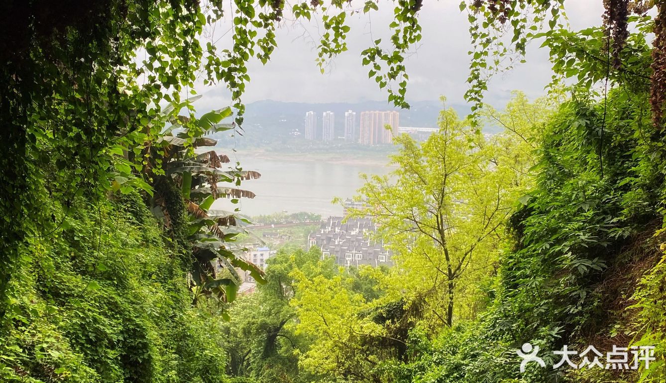 重庆周边游｜和小伙伴一起闯入漫画般的世界