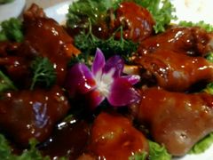 android_upload_pic-英子补身汤(海兰路店)