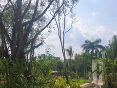 -西双版纳傣族园