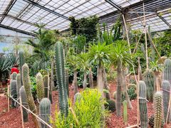 -呀路古热带植物园