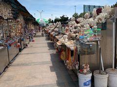 -日照灯塔风景区