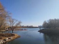 -大兴滨河森林公园