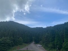 -武陵山森林公园