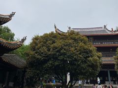 -岳麓书院