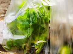 -上海多利农业发展有限公司