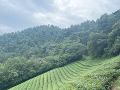 -敬亭山风景名胜区