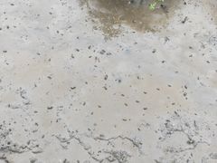 -北海金海湾红树林生态旅游区