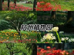 -杭州植物园