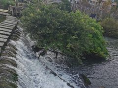 -贵阳市花溪国家城市湿地公园