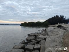 -宝安西湾红树林湿地公园