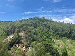 -火炉山森林公园