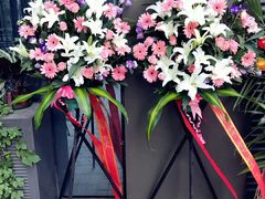 -万卉源鲜花店(百尚生活广场店)