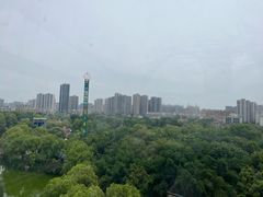 -南湖梦幻岛