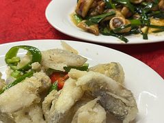 -蛇口康乐快餐鱼仔档(翠苑小区店)