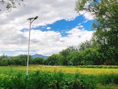 -野鸭湖国家湿地公园